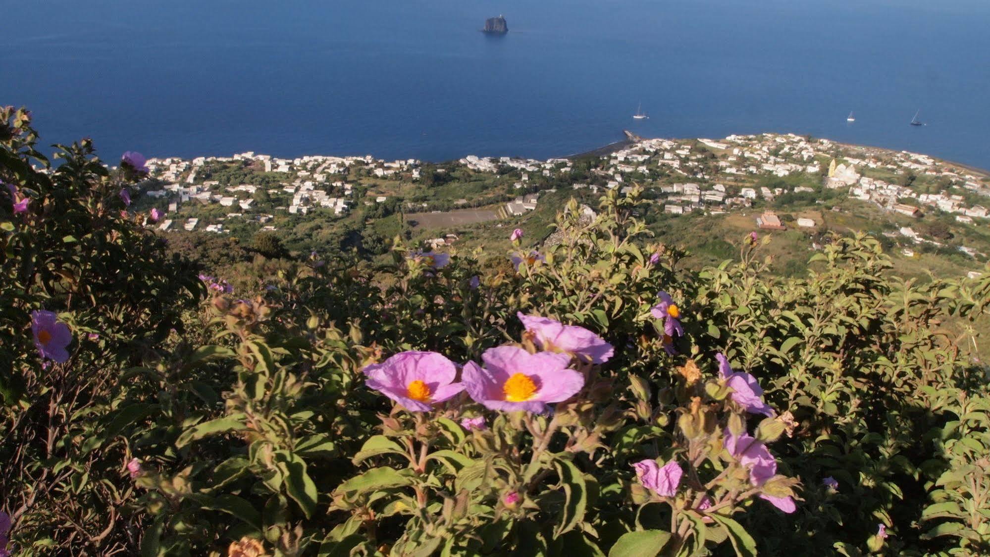 Il Vulcano A Piedi Stromboli Exterior photo